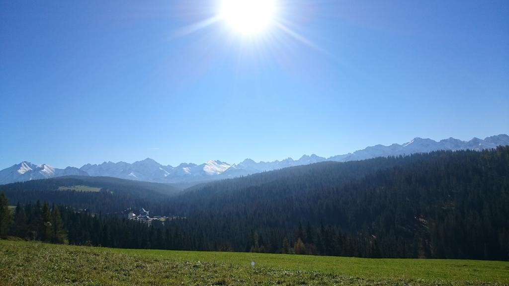 Pod Tatrami Bed & Breakfast Bukowina Tatrzanska Bagian luar foto
